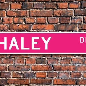 May include: A pink and white street sign with the text "HALEY DR." on a brick wall background.