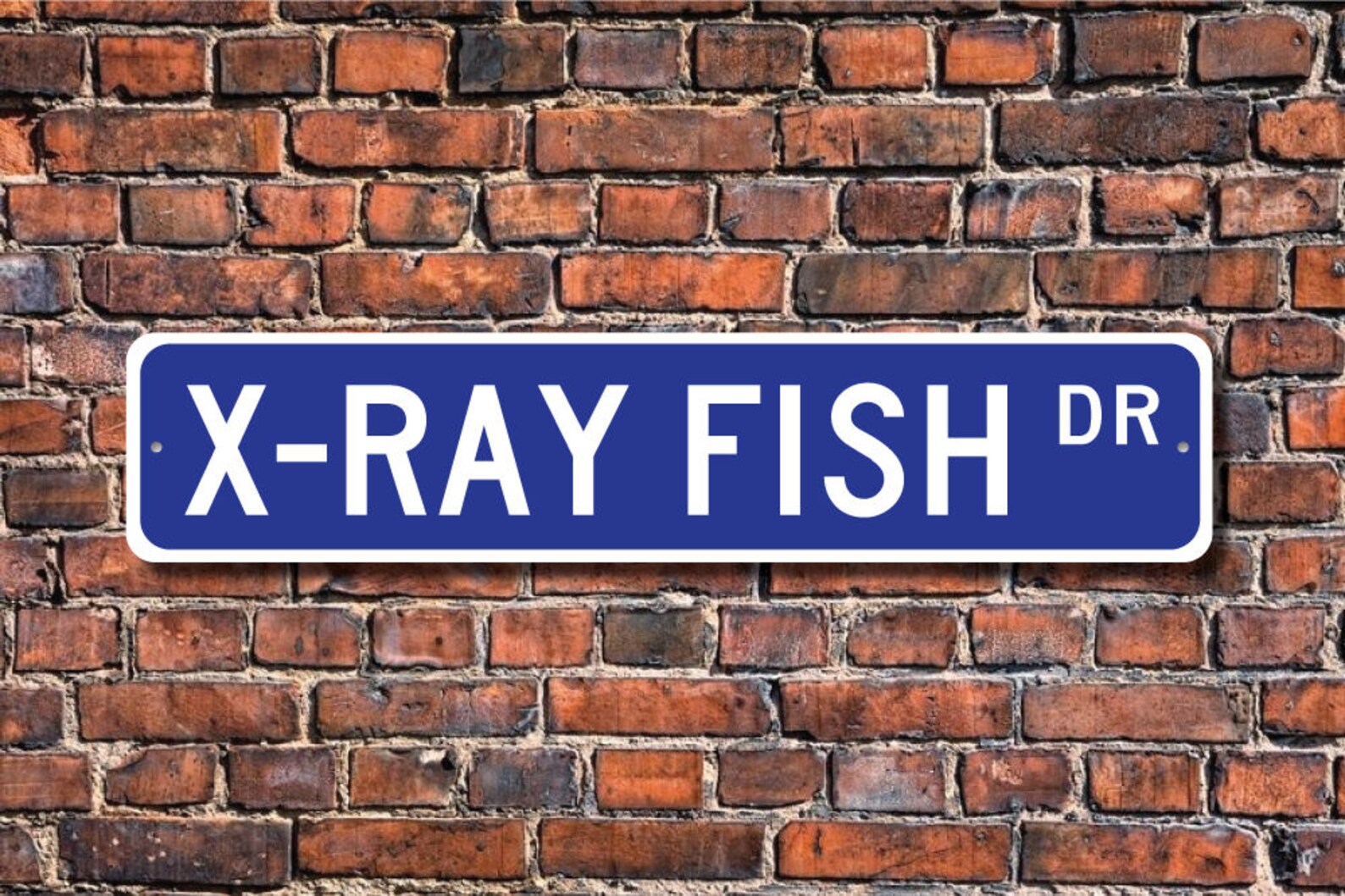 Xray Fish Xray Fish Gift Xray Fish Sign Xray Fish Etsy