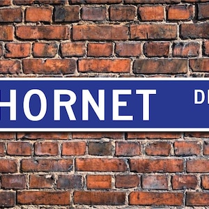 Hornisse, Hornissengeschenk, Hornissenschild, Hornissendekor, Hornissenliebhaber, Wespenfamilie, gelbe Jacke Verwandte, benutzerdefinierte Straßenschild, Qualität Metallschild