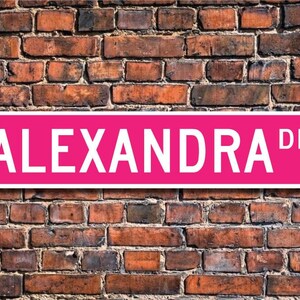 Alexandra, Placa Alexandra, Presente para Amante Alexandra, Presente para Criança, Presente para Neto, Decoração Alexandra, Placa de Rua Personalizada, Placa de Metal de Qualidade