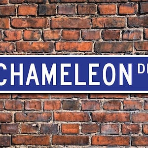 Chameleon, Chameleon Gift, Chameleon Sign, Chameleon decor, Chameleon expert, Chameleon study,  Custom Street Sign, Quality Metal Sign