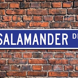 Salamander, Salamander Gift, Salamander Sign, Salamander decor, Salamander lover, amphibian, Custom Street Sign, Quality Metal Sign