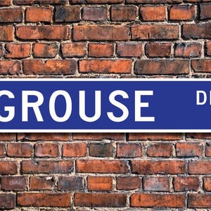 Grouse, Grouse Gift, Grouse Sign, Grouse decor, Grouse lover, Grouse expert, bird expert, bird lover, Custom Street Sign, Quality Metal sign