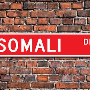 Somali, Somali Sign, Somali Owner, Somali Gift, Somali Cat Decor, Somali Cat Lover, Cat Fan, Custom Street Sign, Quality Metal Sign