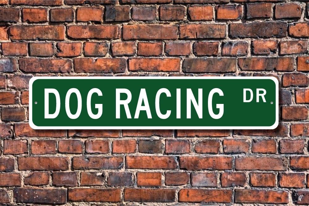Dog Racing, Dog Racing Sign, Dog Racing Fan, Dog Racing Gift, Greyhound ...