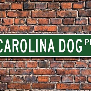Carolina Dog, Carolina Dog Lover, Carolina Dog Sign, Custom Street Sign, Quality Metal Sign, Dog Gift, Dog Owner Gift, Dog Lover Gift