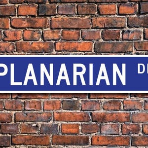 May include: A blue street sign with white lettering that reads "PLANARIAN DR."