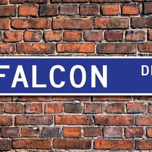 Falcon, Falcon Gift, Falcon Sign, Falcon decor, Falcon lover, Falcon expert, bird of prey, bird lover,Custom Street Sign, Quality Metal sign