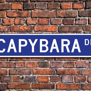 Capybara, cadeau Capybara, enseigne Capybara, décoration Capybara, expert Capybara, plus grand rongeur vivant, plaque de rue personnalisée, plaque en métal de qualité
