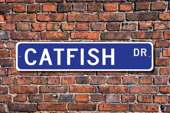 Catfish, Catfish Gift, Catfish Sign, Catfish decor, Catfish lover, fishing pond owner, fisherman gift, Custom Street Sign,Quality Metal Sign