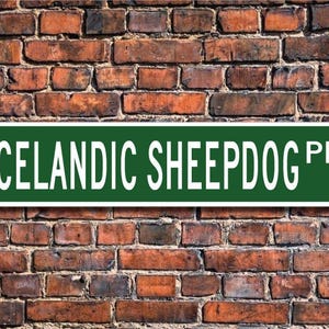 Icelandic Sheepdog, Icelandic Sheepdog Lover, Icelandic Sheepdog Sign, Custom Street Sign, Quality Metal Sign, Dog Owner Sign, Dog Lover