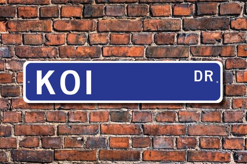 Koi Koi Gift Koi Sign Koi Decor Koi Lover Colorful Fish Etsy UK