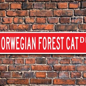 Gato del bosque noruego, amante de los gatos del bosque noruego, letrero con el nombre del gato del bosque noruego, regalo del gato del bosque, letrero de calle personalizado, letrero de metal de calidad
