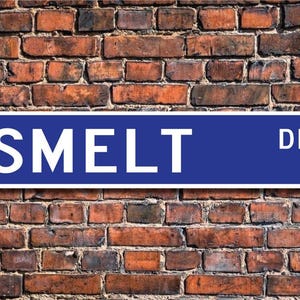 Smelt, regalo di smelt, cartello di smelt, decorazione di smelt, amante dello smelt, smelt atlantico e pacifico, pesce d'acqua dolce, cartello stradale personalizzato, cartello in metallo di qualità