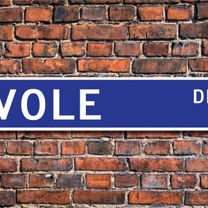 Vole, Vole Gift, Vole Sign, Vole decor, Vole lover, small rodent, mouse relative, rodent owner, Custom Street Sign, Quality Metal Sign