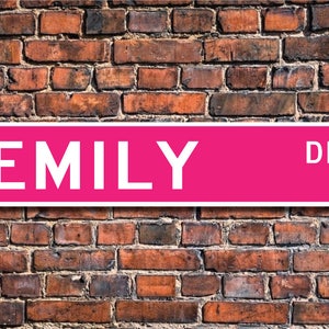 Emily, Emily Sign, Emily Lover, Emily Gift, Child Gift, Grandchild Gift, Emily Decor, Emily Birthday, Custom Street Sign, Quality Metal Sign