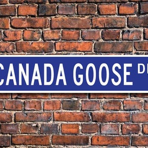Bernache du Canada, cadeau Bernache du Canada, panneau Bernache du Canada, décor Bernache du Canada, expert Bernache du Canada, plaque de rue personnalisée, plaque en métal de qualité