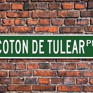 Coton De Tulear, regalo de Coton De Tulear, letrero de Coton De Tulear, letrero de calle personalizado, letrero de metal de calidad, regalo, regalo para dueño de perro, amante de los perros