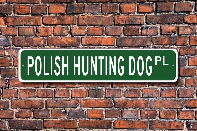 Polish Hunting Dog, Polish Hunting Dog Sign, Polish Hunting Dog Lover, Custom Street Sign, Quality Metal Sign, Dog gift, Dog Lover sign image 1