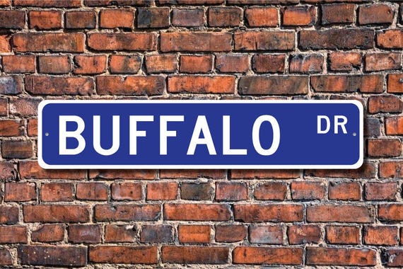 Buffalo, Buffalo Gift, Buffalo Sign, Buffalo decor, Buffalo expert, Bison, plains animal, Custom Street Sign, Quality Metal Sign