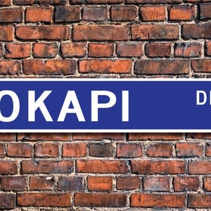 Okapi, Okapi Gift, Okapi Sign, Okapi decor, Okapi lover, giraffe like, zebra striped, African native, Custom Street Sign, Quality Metal Sign