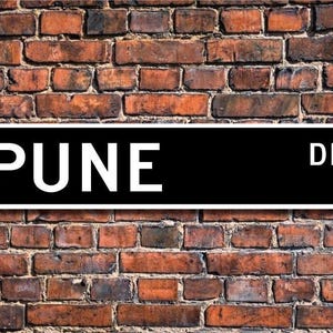 Pune, placa de Pune, presente de Pune, visitante de Pune, lembrança de Pune, cidade da Índia Ocidental, nativo de Pune, placa de rua personalizada, placa de metal de qualidade