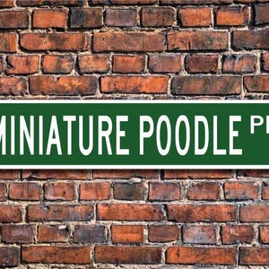 Miniature Poodle, Miniature Poodle Lover, Miniature Poodle Sign, Custom Street Sign, Quality Metal Sign, Dog lover, Dog Owner gift