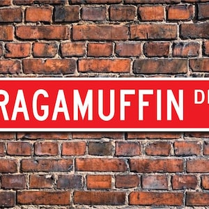 RagaMuffin, RagaMuffin-Liebhaber, RagaMuffin-Zeichen, RagaMuffin-Geschenk, RagaMuffin-Katzendekor, Katzenliebhaber, Benutzerdefiniertes Straßenschild, Qualität Metallschild