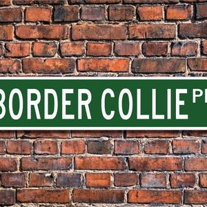 May include: Green metal street sign with white lettering that reads "BORDER COLLIE PL."