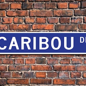 Caribou, Caribou Gift, Caribou Sign, Caribou decor, Caribou expert, Caribou lover, Caribou study,  Custom Street Sign, Quality Metal Sign