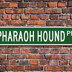 Pharaoh Hound, Pharaoh Hound Sign, Pharaoh Hound Lover,  Custom Street Sign,  Quality Metal Sign, Dog Owner Gift, Dog Lover sign
