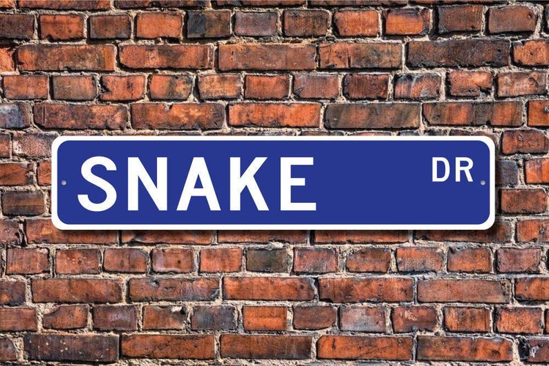 Snake, Snake Gift, Snake Sign, Snake decor, Snake lover, legless carnivorous reptiles, reptile lover, Custom Street Sign, Quality Metal Sign image 1