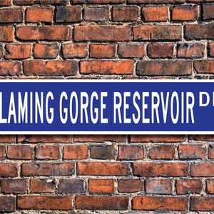 Puede incluir: Un letrero de calle azul y blanco con el texto "FLAMING GORGE RESERVOIR DR."