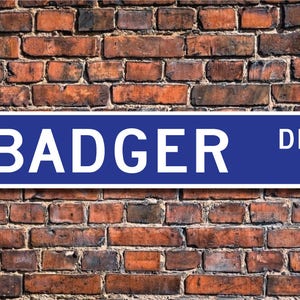 Badger, Badger Gift, Badger Sign, Badger decor, Badger lover, zoo sign, zoo enclosure,  Custom Street Sign, Quality Metal Sign