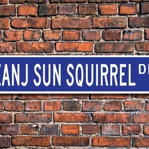 Pode incluir: Uma placa de rua azul e branca com o texto "Zanj Sun Squirrel Dr."