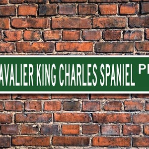 Cavalier King Charles Spaniel, Cavalier King Charles Spaniel Gift, Cavalier King Charles Spaniel Sign,Custom Street Sign,Quality Metal Sign,