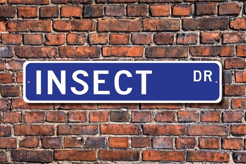 Insects Study Sign Insect, Insect Gift, Insect Sign, Insect Decor, Insect Lover, Insect or ...