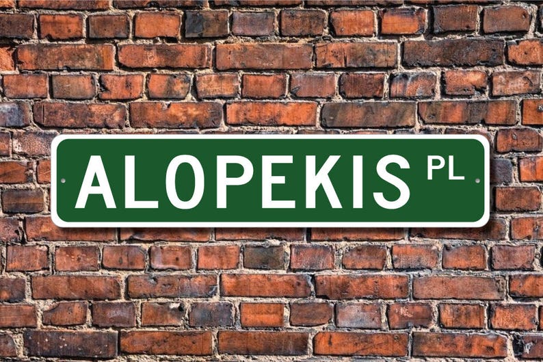 Alopekis Alopekis Geschenk Alopekis Zeichen Hund Liebhaber Etsy