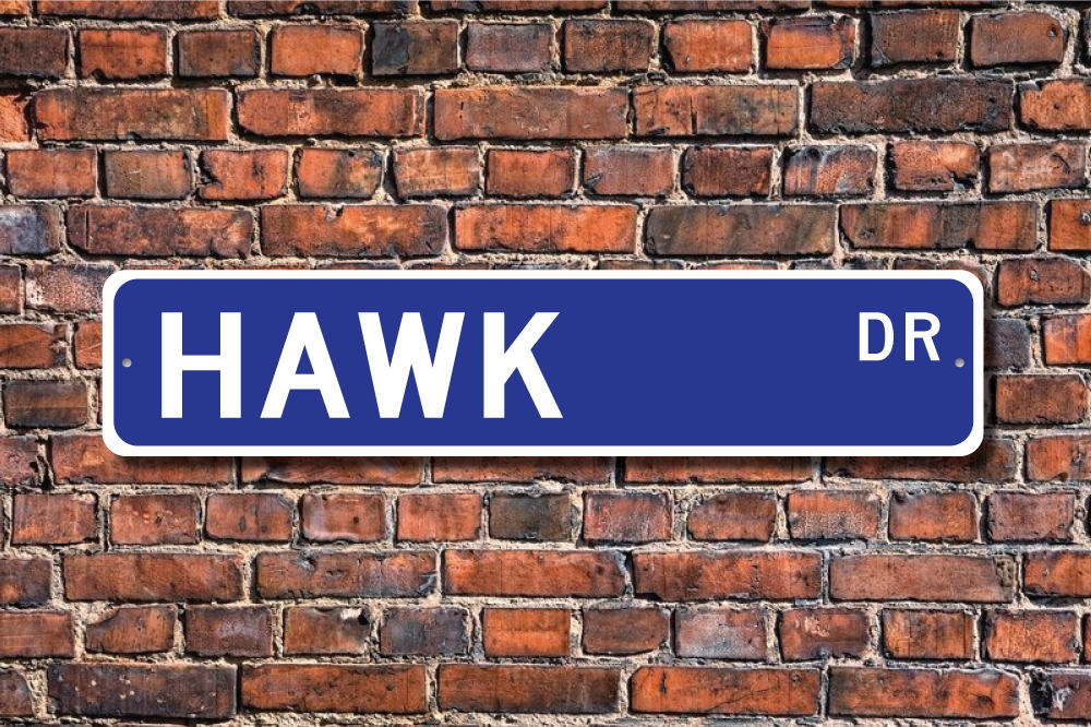 Hawk Hawk Gift Hawk Sign Hawk Decor Hawk Lover Birds of - Etsy