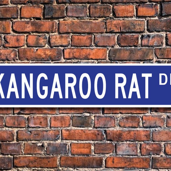 Rat kangourou, Cadeau de rat kangourou, Signe de rat kangourou, Décor de rat kangourou, petit rongeur, Natif no Amer, Panneau de rue personnalisé, Panneau métallique de qualité