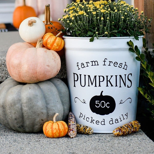 Fall Farmhouse Pumpkin Bucket | Tall Pumpkin Bucket For Mums | Farmhouse Porch Decor | White Neutral Decor | Pumpkin Fall Planter Bucket