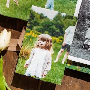 May include: A collection of printed photographs with torn edges, featuring family moments. One photo shows a young girl in a field, another a black and white image of people with a wagon. A yellow tulip and green leaves are in the foreground.