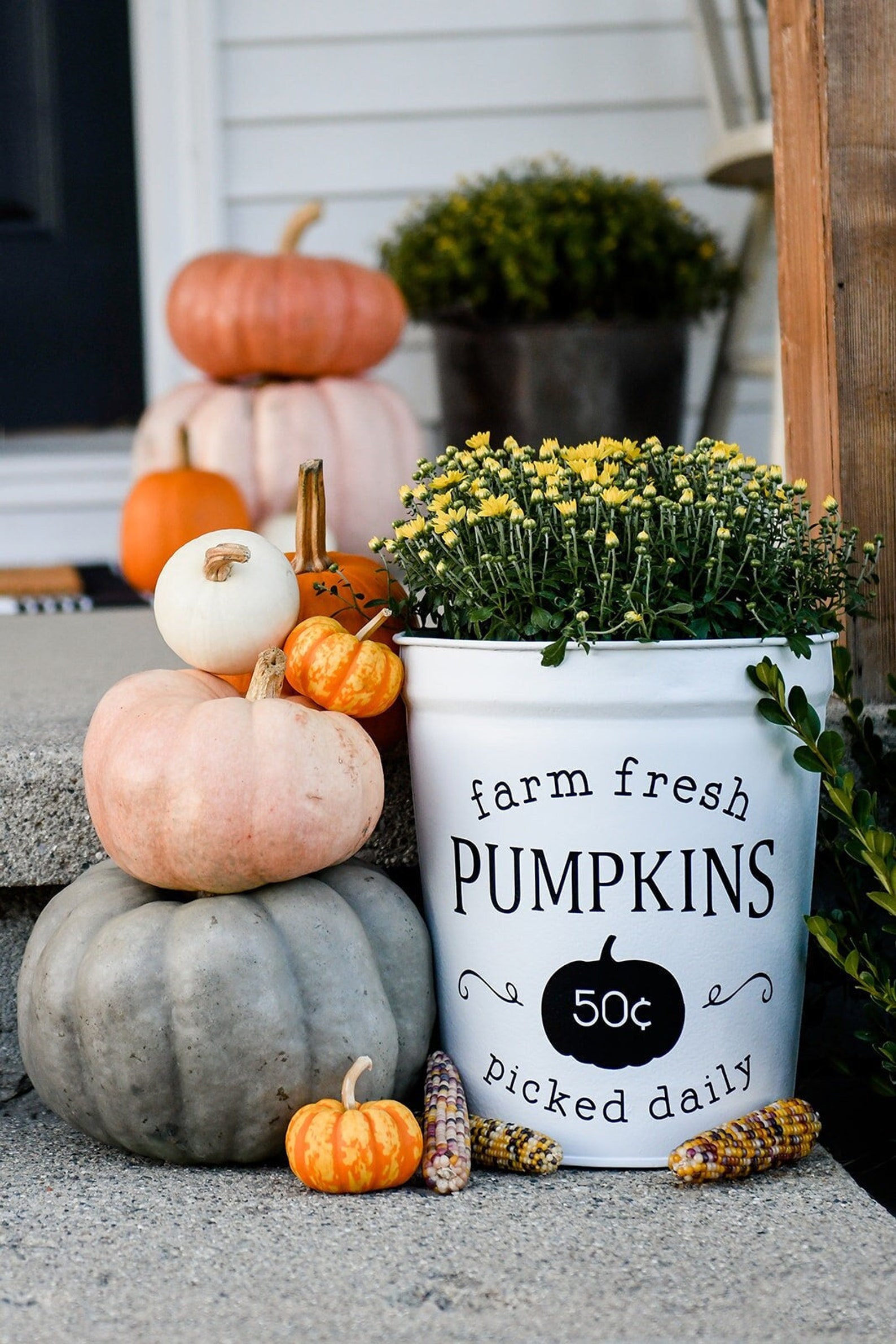 Fall Themed Welcome Mat with a Bucket for Pumpkins