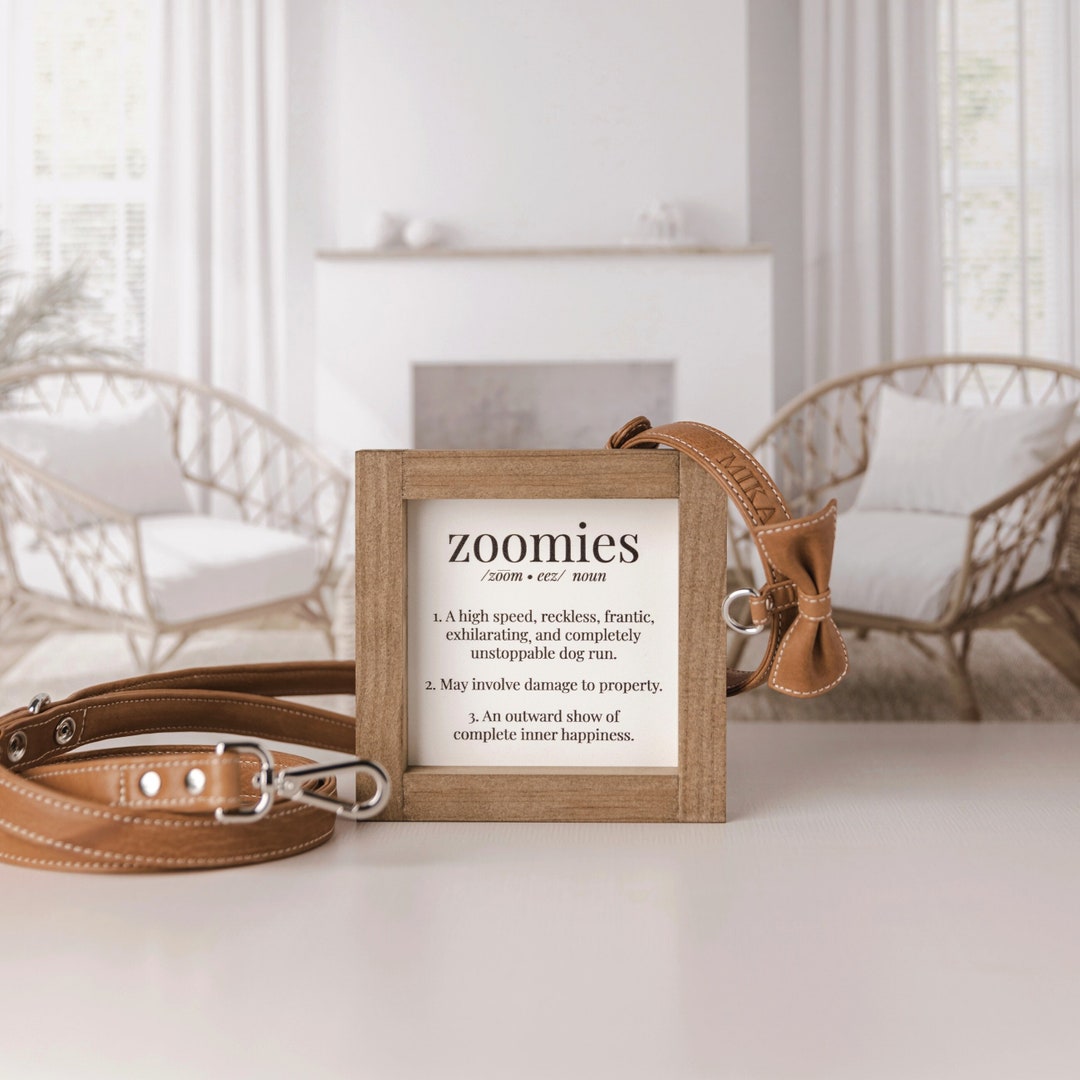Zoomies Dog Sign Wood Framed Zoomies Definition Dog Sign Small or Large