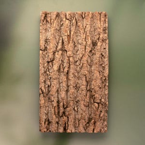 Tree Bark Slab Tray | Natural Rustic Wood Styling Board For Home Decor & Photography Prop