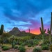 see more listings in the Arizona section