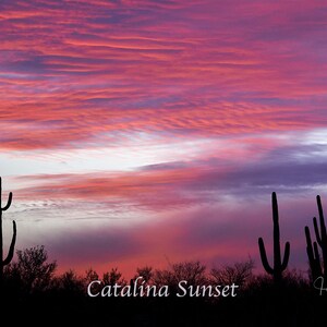 Tucson Postcards, Fine Art Note Cards and Prints