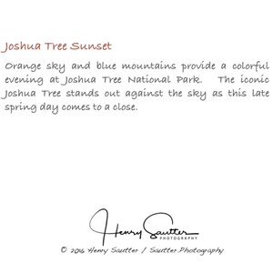 Joshua Tree Postcard, Fine Art Note Cards and Prints image 2