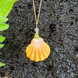 Golden Sunrise Small Shell necklace – [ki-ele]
