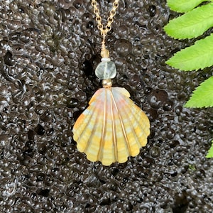 Hawaiian Sunrise Shell, Prasiolite, Tourmaline & Freshwater Pearl Gold Fill Necklace #SUN2240